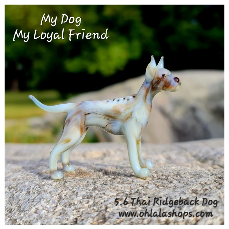 Fawn shop thai ridgeback